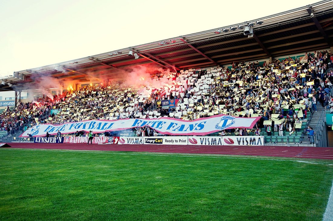 Lyn vif i køppen.jpg